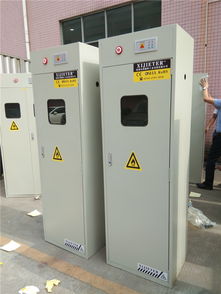 甲烷 乙炔氣瓶存儲(chǔ)柜 單瓶