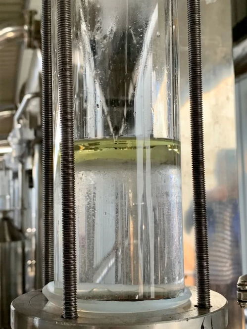 脫貧玫瑰 讓農(nóng)戶(hù)日子越過(guò)越香甜