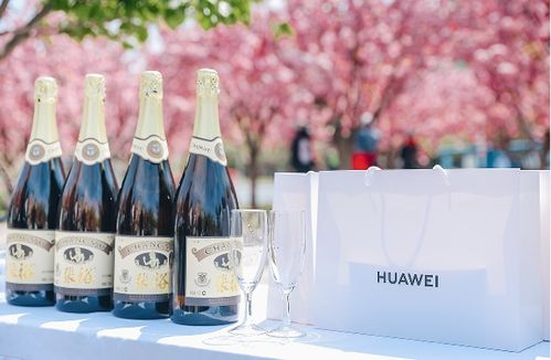 煙臺(tái)城市微度假 醉美海岸 騎遇四季 活動(dòng)啟動(dòng) 發(fā)布五條精品騎行線路